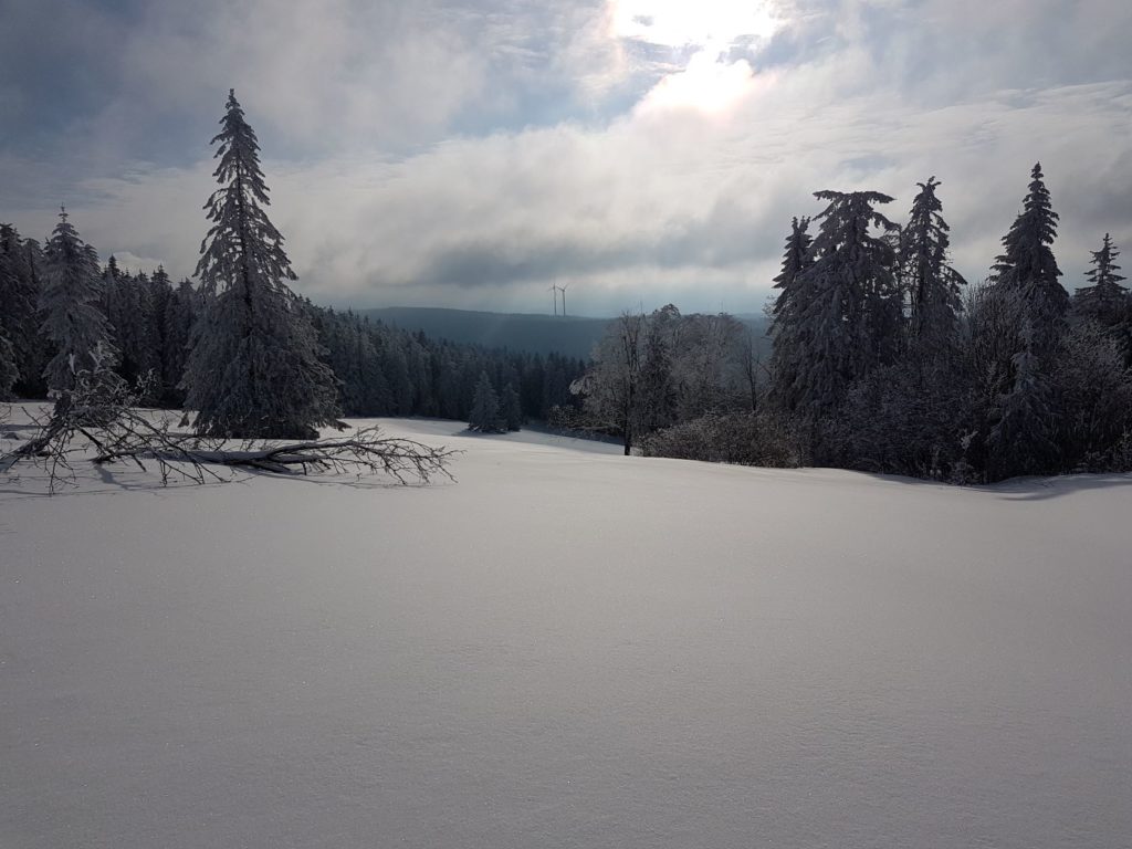 Schwarzwald Backcountry - Backcountry Skifahren im Schwarzwald
