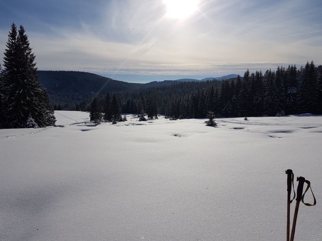Schwarzwald Backcountry - Backcountry Skifahren im Schwarzwald