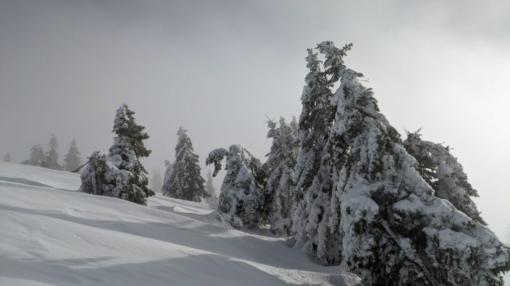 Schwarzwald Backcountry - Backcountry Skifahren im Schwarzwald