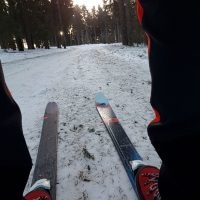 Schwarzwald Backcountry - Backcountry Skifahren im Schwarzwald