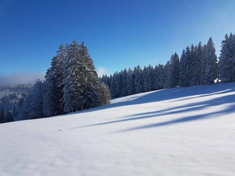 Schwarzwald Backcountry - Backcountry Skifahren im Schwarzwald