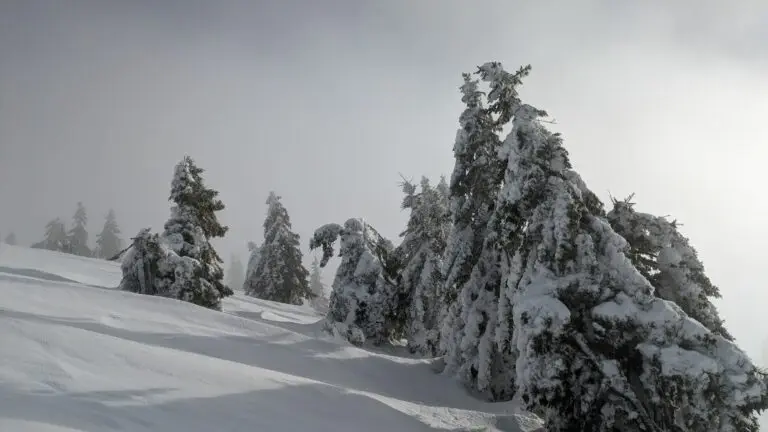 Schwarzwald Backcountry - Backcountry Skifahren im Schwarzwald