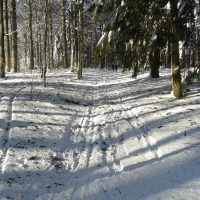 Schwarzwald Backcountry - Backcountry Skifahren im Schwarzwald