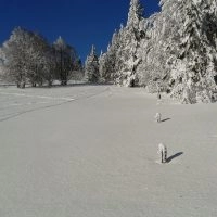Schwarzwald Backcountry - Backcountry Skifahren im Schwarzwald