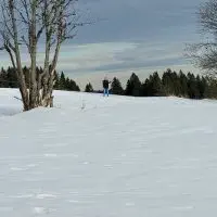 Schwarzwald Backcountry - Backcountry Skifahren im Schwarzwald