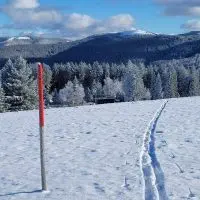 Schwarzwald Backcountry - Backcountry Skifahren im Schwarzwald