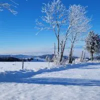 Schwarzwald Backcountry - Backcountry Skifahren im Schwarzwald