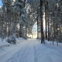 Schwarzwald Backcountry - Backcountry Skifahren im Schwarzwald