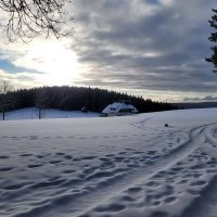 Schwarzwald Backcountry - Backcountry Skifahren im Schwarzwald