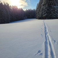 Schwarzwald Backcountry - Backcountry Skifahren im Schwarzwald