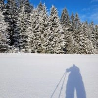 Schwarzwald Backcountry - Backcountry Skifahren im Schwarzwald