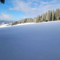 Schwarzwald Backcountry - Backcountry Skifahren im Schwarzwald