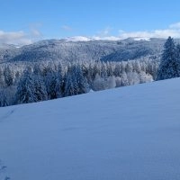 Schwarzwald Backcountry - Backcountry Skifahren im Schwarzwald