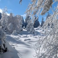 Schwarzwald Backcountry - Backcountry Skifahren im Schwarzwald
