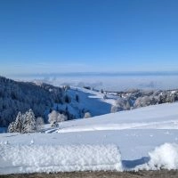 Schwarzwald Backcountry - Backcountry Skifahren im Schwarzwald
