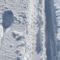 Schwarzwald Backcountry - Backcountry Skifahren im Schwarzwald