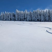 Schwarzwald Backcountry - Backcountry Skifahren im Schwarzwald