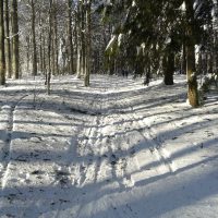 Schwarzwald Backcountry - Backcountry Skifahren im Schwarzwald