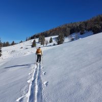 Schwarzwald Backcountry - Backcountry Skifahren im Schwarzwald