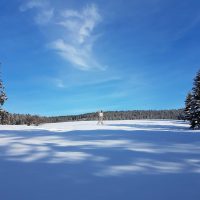 Schwarzwald Backcountry - Backcountry Skifahren im Schwarzwald