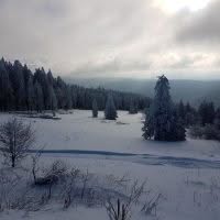Schwarzwald Backcountry - Backcountry Skifahren im Schwarzwald