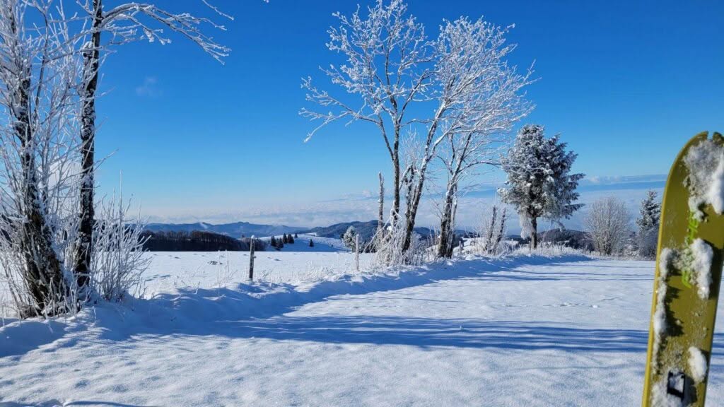 Schwarzwald Backcountry - Backcountry Skifahren im Schwarzwald