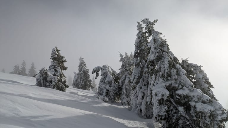 Schwarzwald Backcountry - Backcountry Skifahren im Schwarzwald