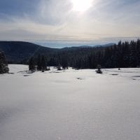 Schwarzwald Backcountry - Backcountry Skifahren im Schwarzwald