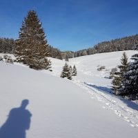 Schwarzwald Backcountry - Backcountry Skifahren im Schwarzwald