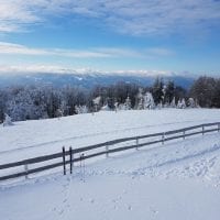 Schwarzwald Backcountry - Backcountry Skifahren im Schwarzwald
