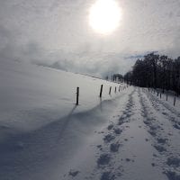 Schwarzwald Backcountry - Backcountry Skifahren im Schwarzwald