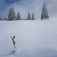 Schwarzwald Backcountry - Backcountry Skifahren im Schwarzwald