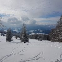 Schwarzwald Backcountry - Backcountry Skifahren im Schwarzwald