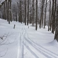 Schwarzwald Backcountry - Backcountry Skifahren im Schwarzwald