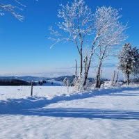Schwarzwald Backcountry - Backcountry Skifahren im Schwarzwald