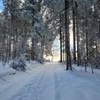 Schwarzwald Backcountry - Backcountry Skifahren im Schwarzwald