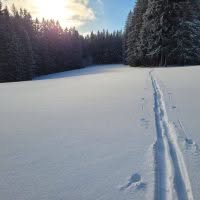 Schwarzwald Backcountry - Backcountry Skifahren im Schwarzwald
