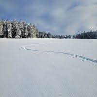 Schwarzwald Backcountry - Backcountry Skifahren im Schwarzwald
