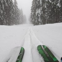 Schwarzwald Backcountry - Backcountry Skifahren im Schwarzwald