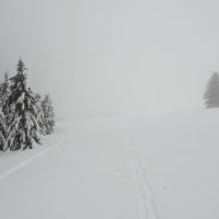 Schwarzwald Backcountry - Backcountry Skifahren im Schwarzwald