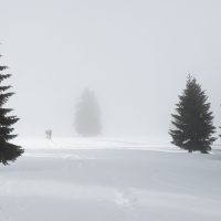 Schwarzwald Backcountry - Backcountry Skifahren im Schwarzwald