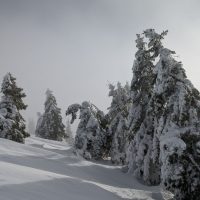 Schwarzwald Backcountry - Backcountry Skifahren im Schwarzwald