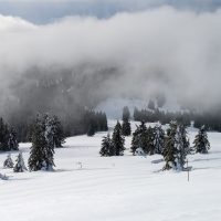 Schwarzwald Backcountry - Backcountry Skifahren im Schwarzwald