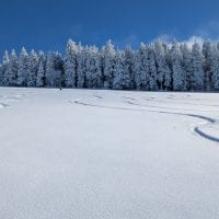 Schwarzwald Backcountry - Backcountry Skifahren im Schwarzwald