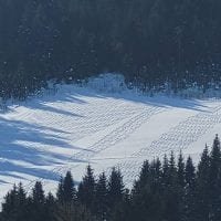 Schwarzwald Backcountry - Backcountry Skifahren im Schwarzwald